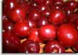 Makro-doepics-a-03