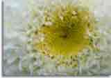 Makro-doepics-a-12