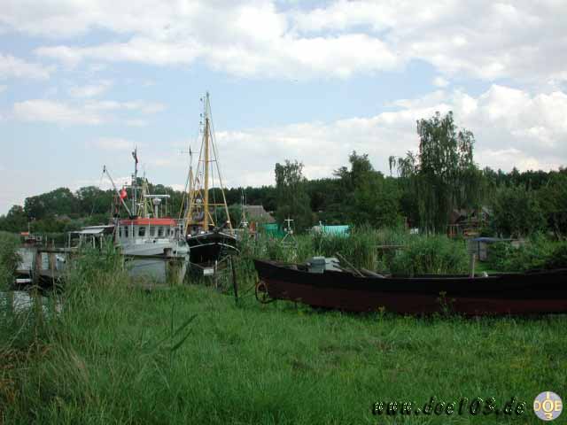Natur-doepics-a-78
