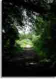 Natur-doepics-a-72   Das Bild findet Ihr auch unter Doe-Art. Natrlich bearbeitet......