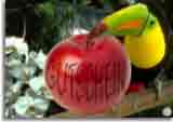 Gag Gutschein-1