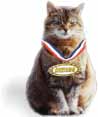 Awards